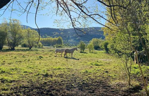 Apartamento en Alcala de la Selva by Family Homes - Foto 46