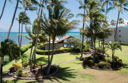 Molokai Island Retreat with Beautiful Ocean Views and Pool - Newly Remodeled! - Foto 2