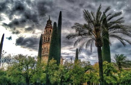 Rosmarinus Centro - Foto 22