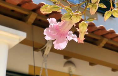 Casa da Oliveira - Foto 36