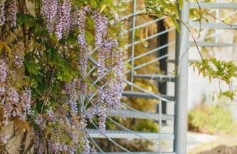 Clos du Bois Saint-Martin - Foto 17