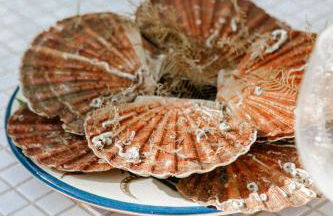 VILLA Centre Guethary piscine acces ocean a pied - Foto 16