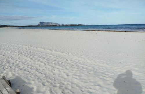 The Apricot House, alle porte di San Teodoro - Foto 3