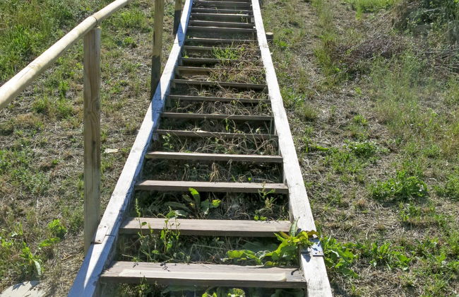 Intensivo-Elegante - Foto 25