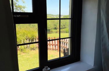 Cornflower - Photo 12