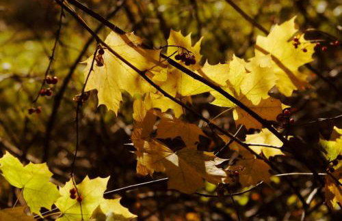 Luxurious sky loft with giant soaker tub, steam room, views - Foto 4