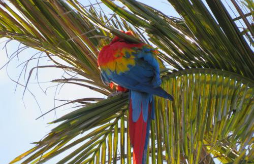 Casa Paraíso com área Goumet Caipira - Foto 32