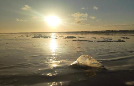 Casa beira mar com piscina Coruripe Povoado Miai de cima - Foto 36