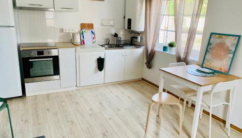 APPARTEMENT T2 GUETHARY CENITZ - Foto 2