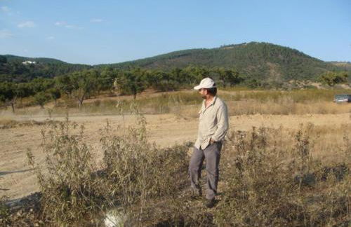 Casal da Serra - Foto 4