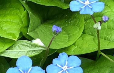 Ferien im Bomlitztal - Foto 38