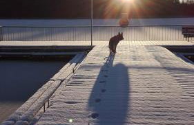 Apartament Perła 22 Jezioro Pluszne - Foto 10