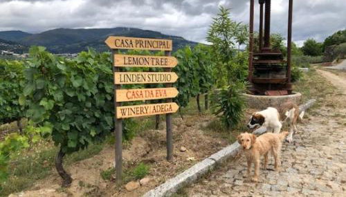 Casa da Eva at Terrus Winery - Foto 5