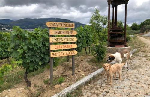 Casa da Eva at Terrus Winery - Foto 5