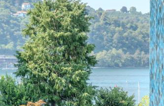 Serviced Apartments by Hotel de Charme Laveno - Foto 8