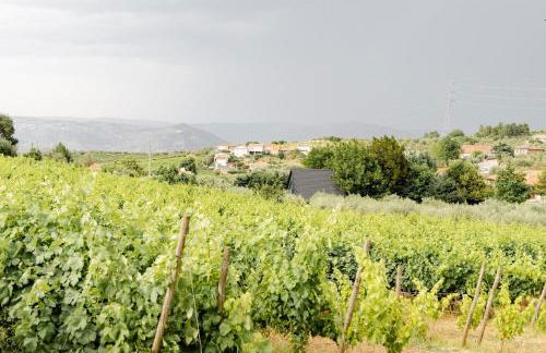 Casa das Nogueiras - Foto 67