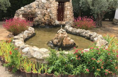 Aire Libre - Foto 10