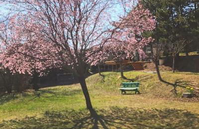 Villa à Gap - Foto 13