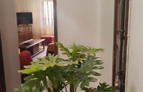 Cantinho do Guadiana Nice Terrace - Foto 43