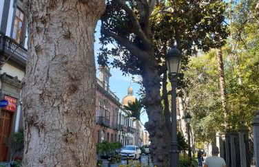 CASA ISABEL CENTRO Histórico - Foto 32