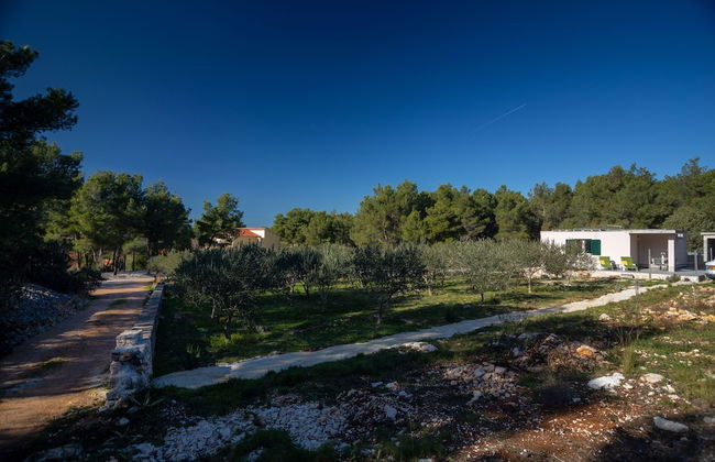 Olive Eden - Foto 59