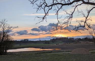 Świerkowe Ranczo Raciszewo - Foto 41