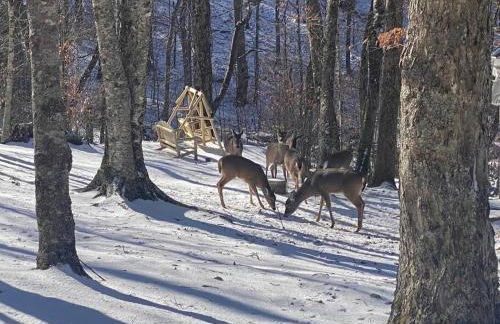 On Top Of Everything at Beech - Foto 27