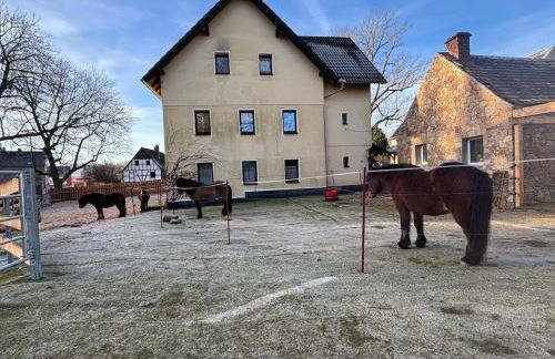 bei den Hundertelfen - Foto 20