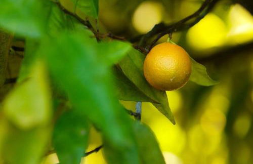 Refúgios do Rio Dão - Foto 55