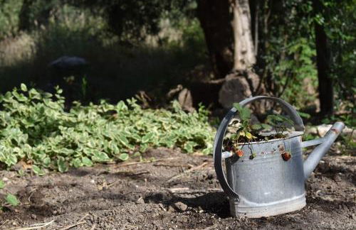 Dolichi House - Foto 32