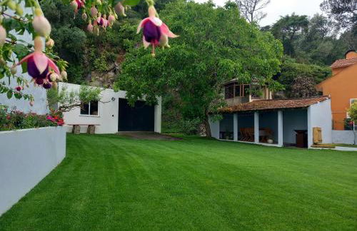 Villa in Sintra - Casa da Penha Ferrim - Foto 65