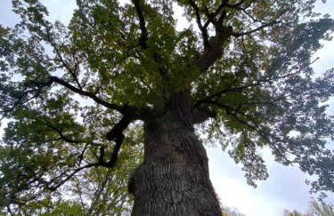 Le gîte de l’espérance - Foto 13