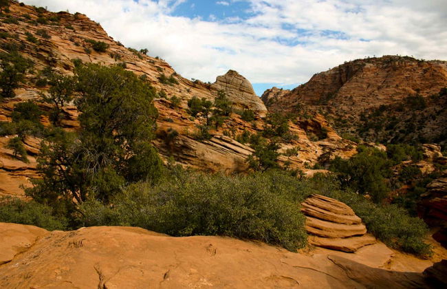 Zion Canyon & Valley of Fire Day Trip - Photo 8