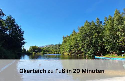 FeWo Berg-Domizil Altenau inklusive Bettwäsche und Handtüchern, Nur 3 Minuten von der Kristall Therme entfernt - Foto 16