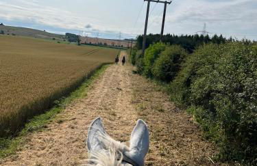 Stewards Cottage - Foto 12