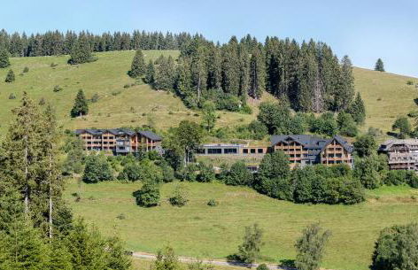 Black Forest Lodge - Photo 4