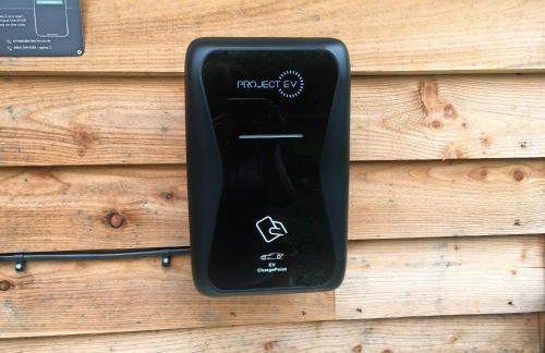 Barcud Coch - Uk44539 - Foto 33