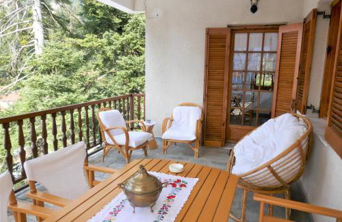 Evergreen Elati - Foto 57