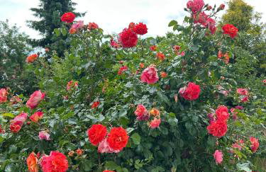 Tolle Ferienwohnung in Altomünster - Foto 32