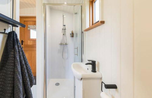 Fferm Fach by Birch Stays - Foto 22