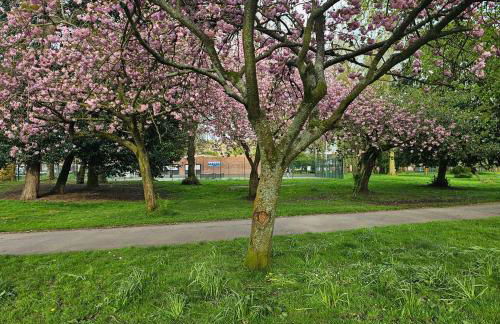 Alexandra Park - Foto 22