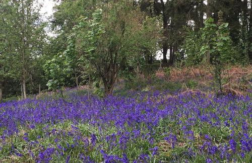 Lovely 2 Bedroom 2 Bathroom Apartment with Parking - Foto 29