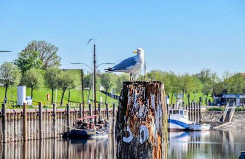 Storchennest - Foto 17