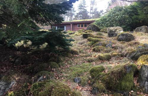 Our Log House in the woods - Photo 42