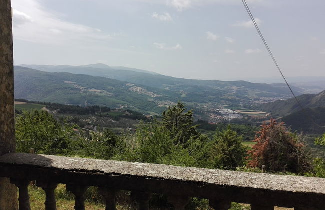 Fattoria di Cintoia - Photo 75