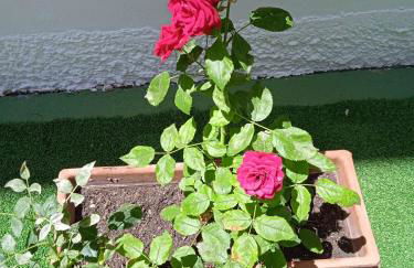 Guest House Oleandro - Foto 76