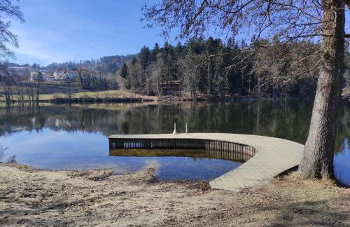 "BayernWald 201" Ferienwohnung mit Pool und Sauna - Foto 36