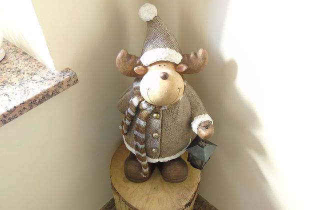 Trettel Apartments - Foto 59