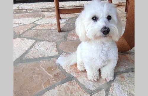 Apartment in Casa Porta Luna, Gajac, Novalja - Foto 43