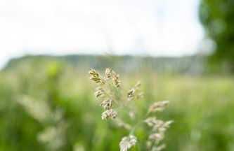 AMTENBRINKSHOF Appartements - Foto 26